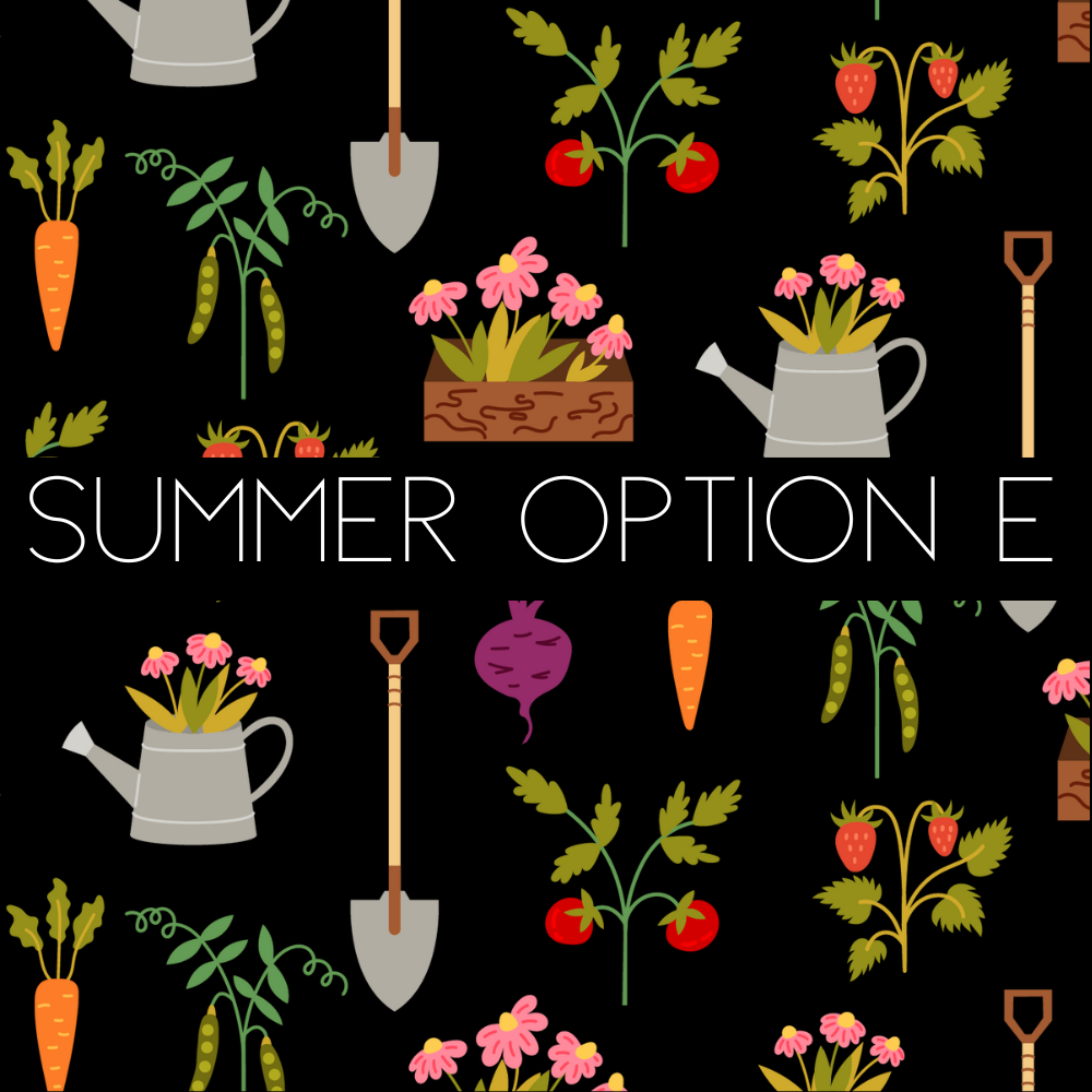 Summer | Tee
