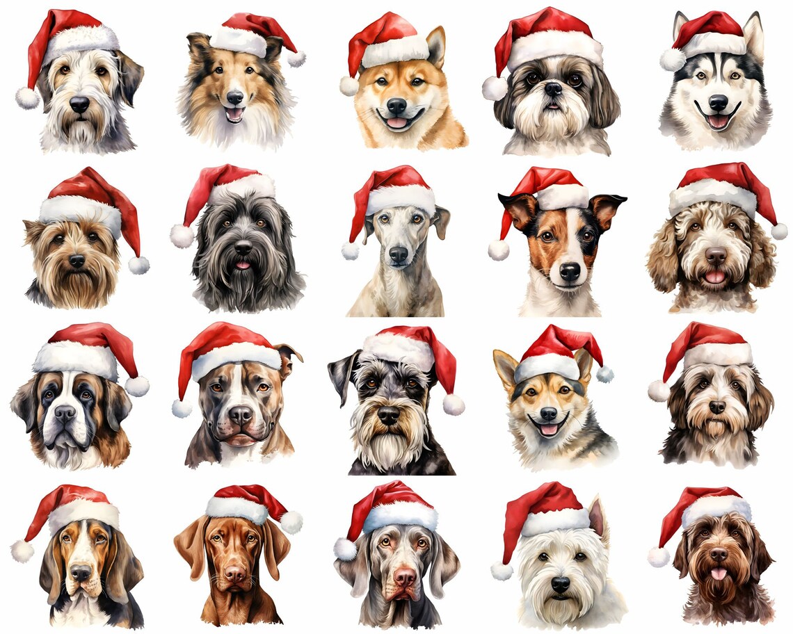 Dogs w/ Santa Hats