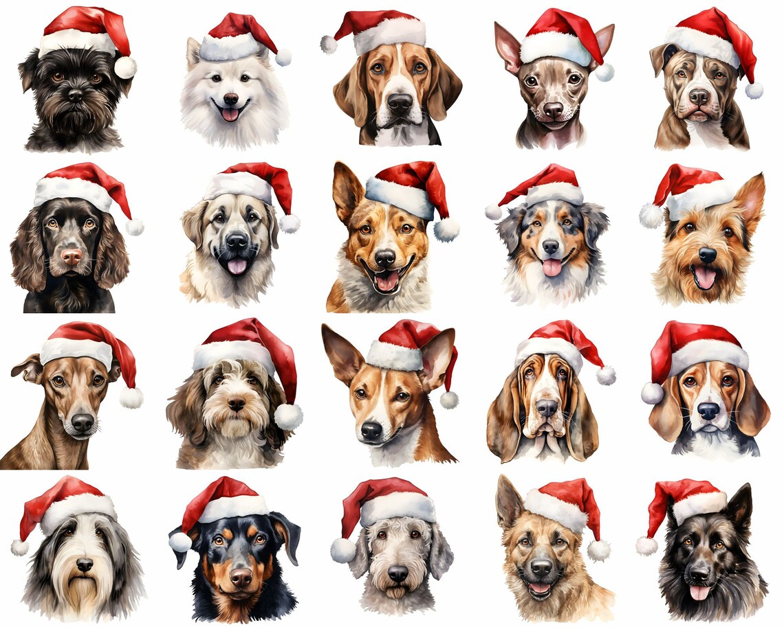 Dogs w/ Santa Hats