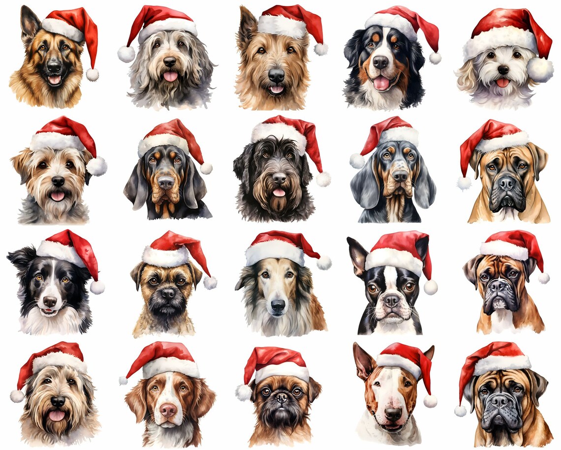 Dogs w/ Santa Hats