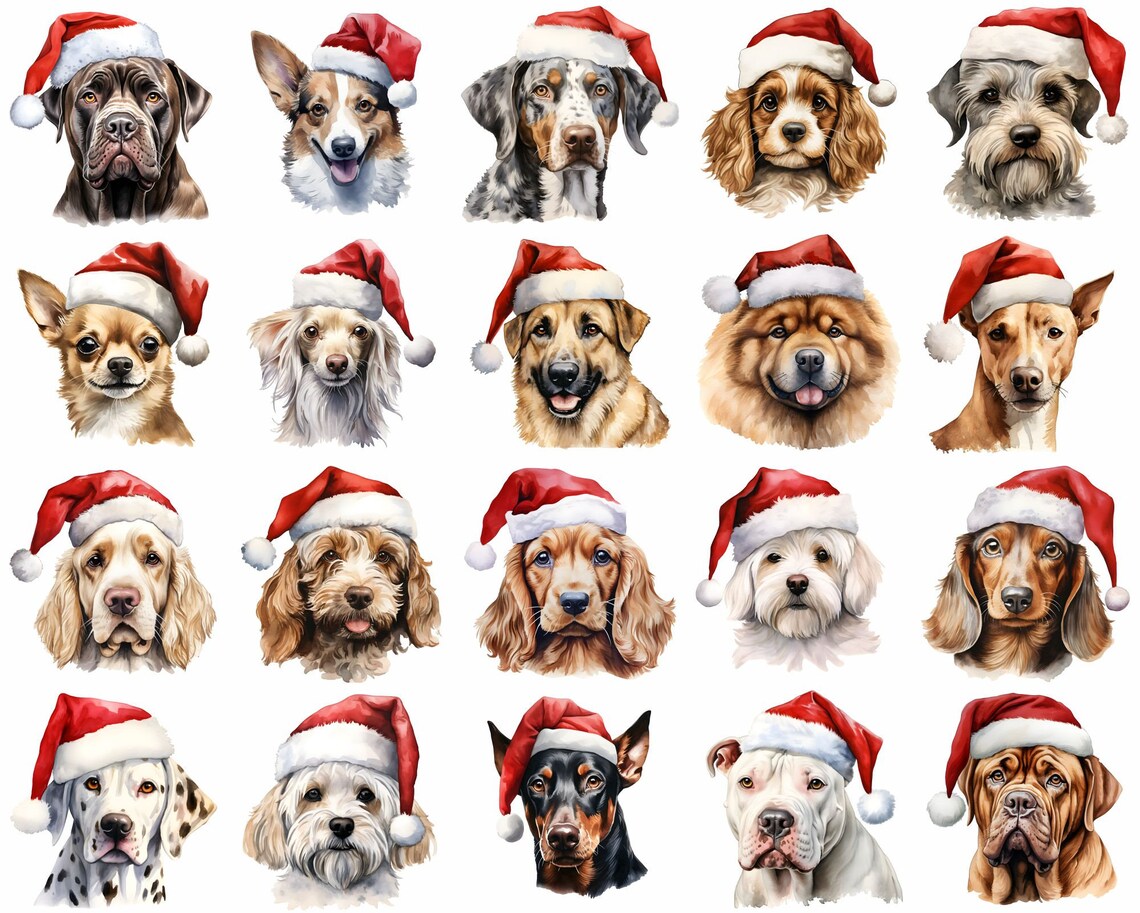 Dogs w/ Santa Hats