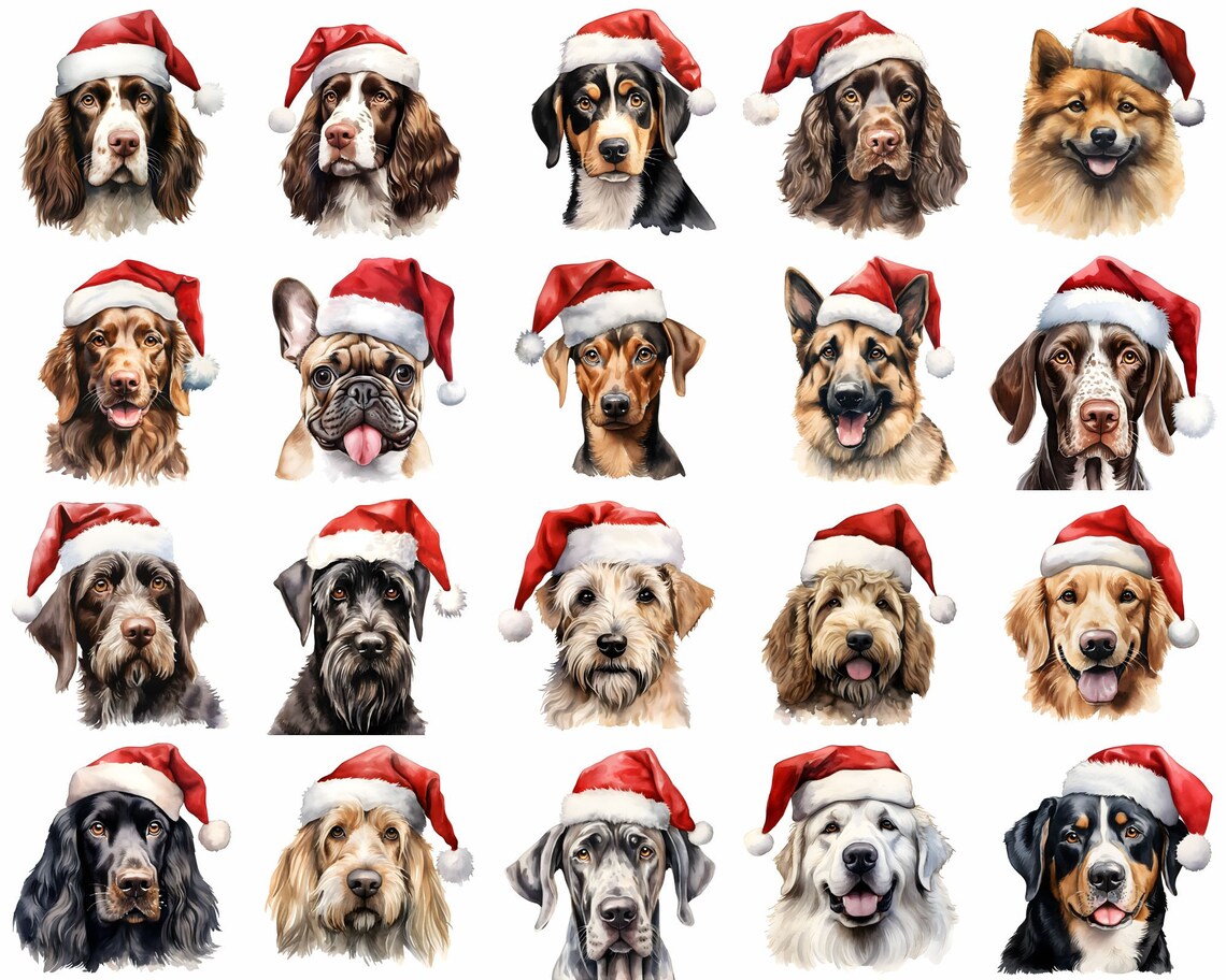 Dogs w/ Santa Hats