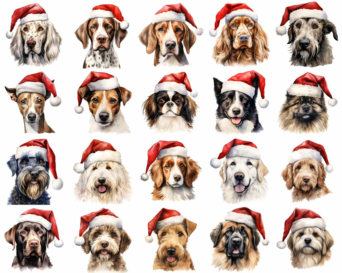 Dogs w/ Santa Hats