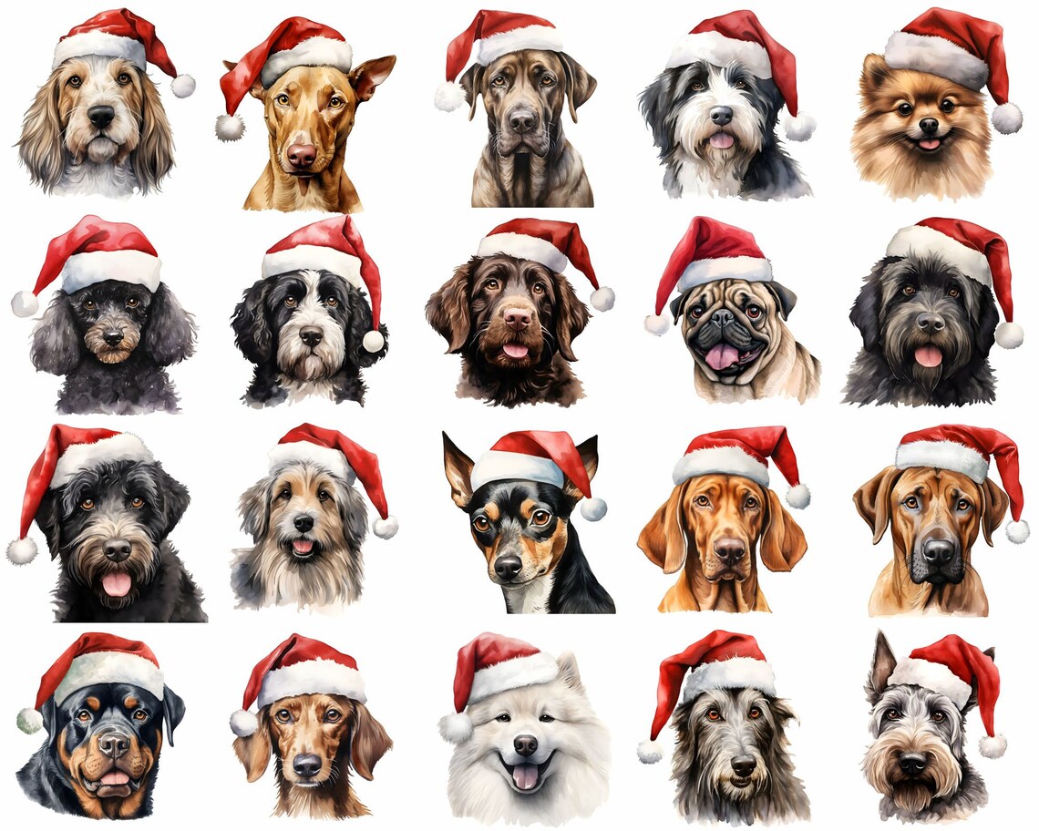 Dogs w/ Santa Hats