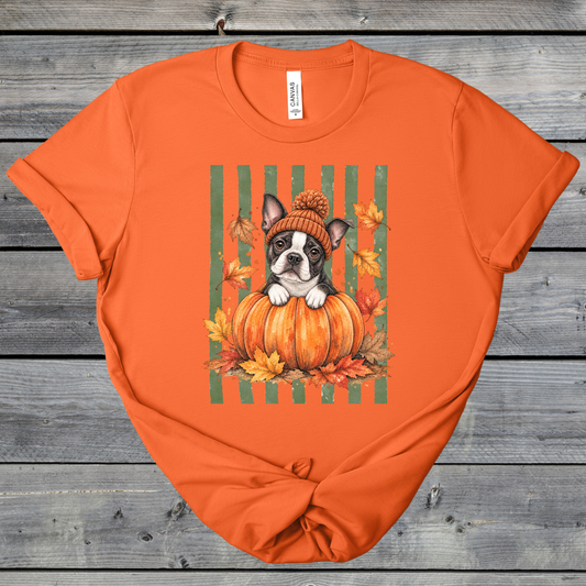 Fall Dogs